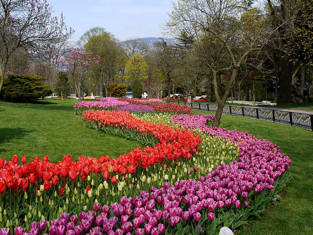 The tulip time in Istanbul